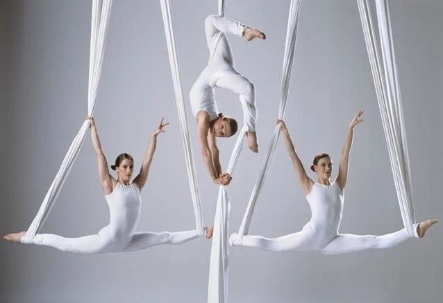 tinywow_Viva-Aerial-Dance_80570496