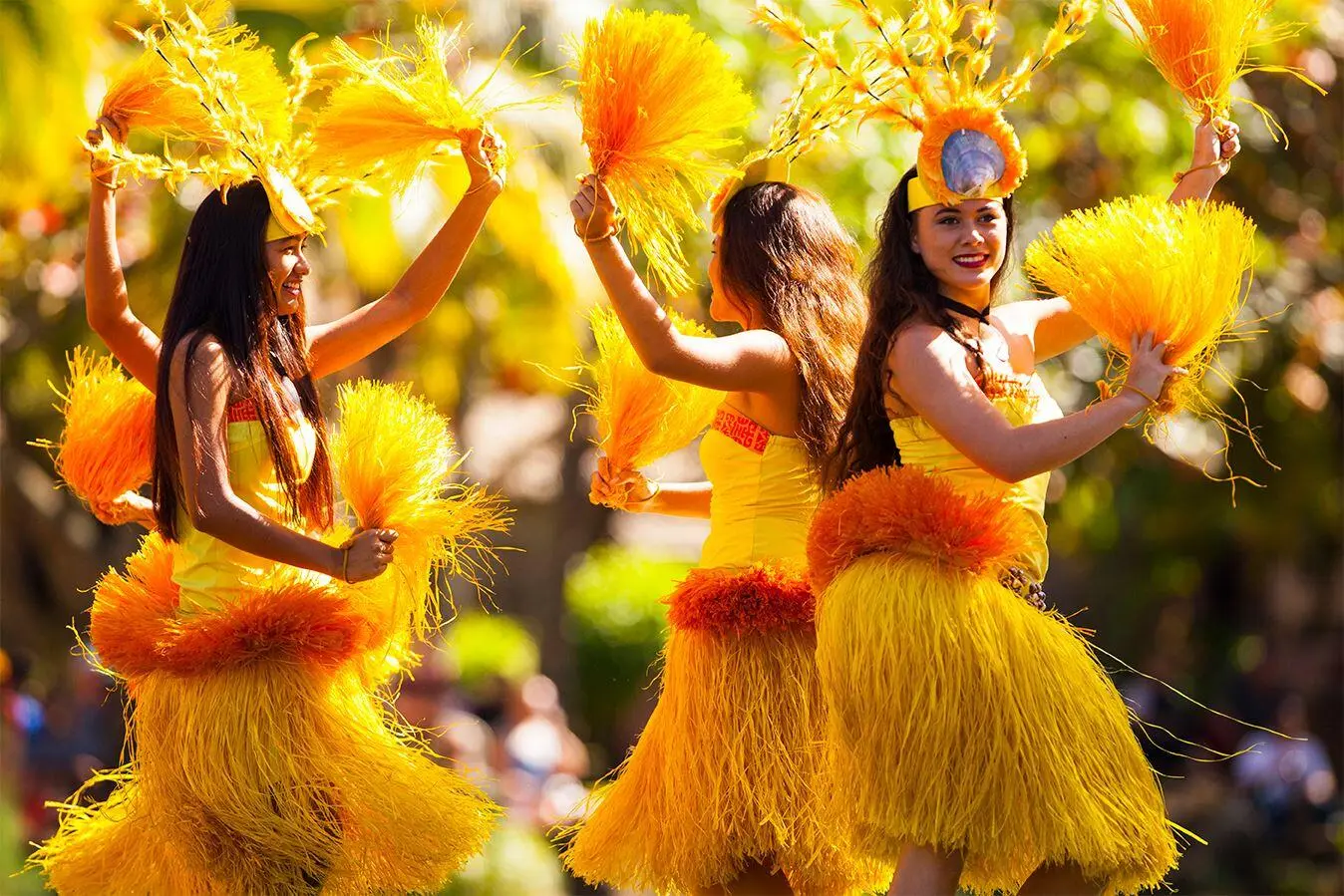 tinywow_hawaii-hula-girls-67539-banner_80570185
